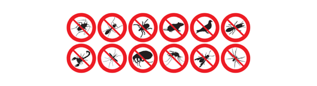 Descupinização e Controle de Pragas 24 HORAS