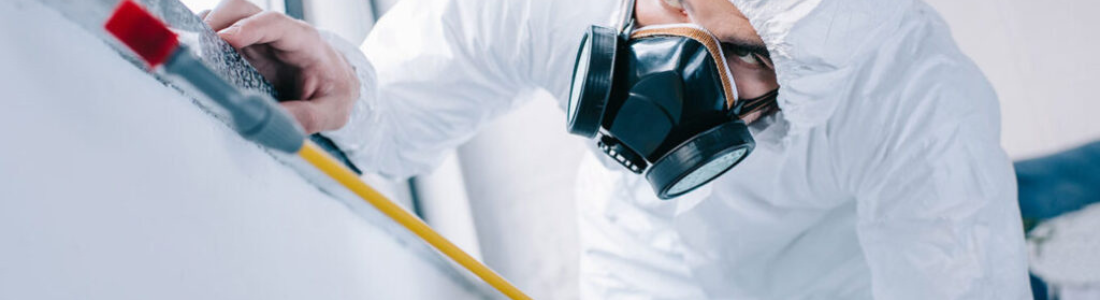 Dedetização em Lanchonetes 24 HORAS