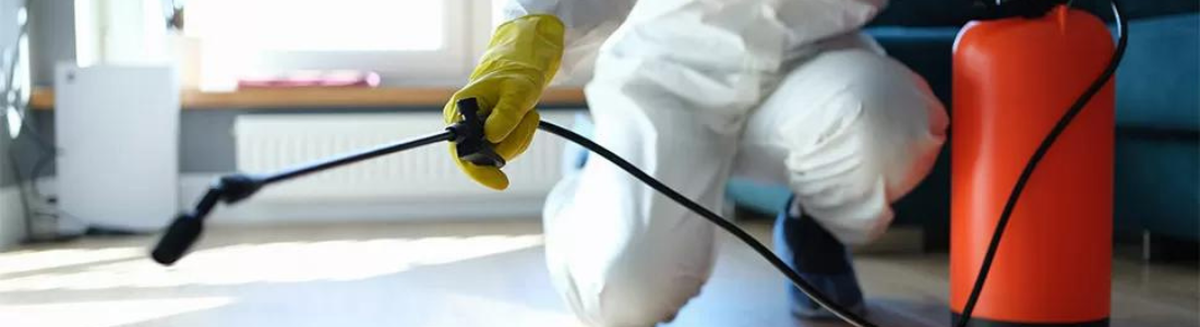 Dedetização de Ambientes 24 HORAS