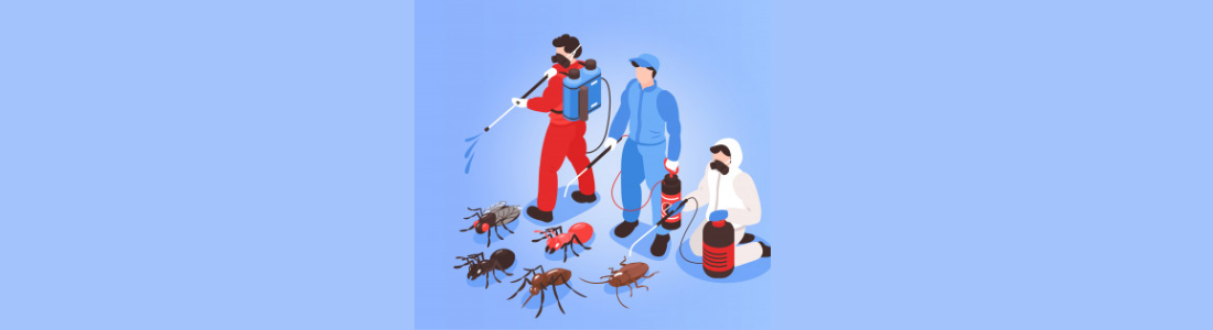 Dedetização Completa 24 HORAS