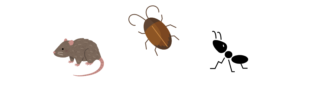 Dedetização Contra Ratos, Baratas e Insetos: Proteja Sua Família 24 HORAS