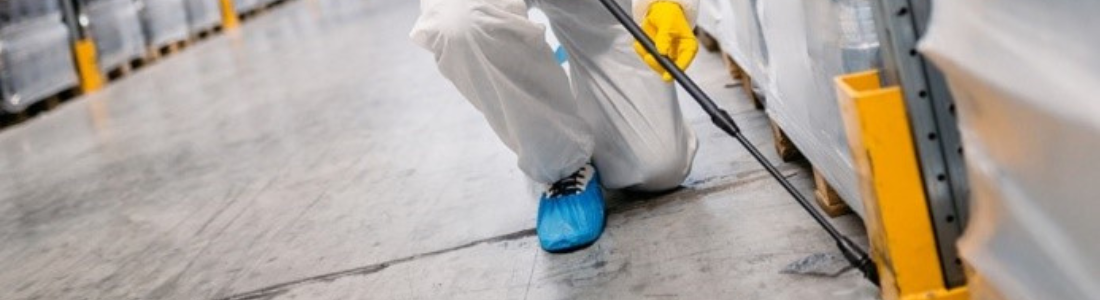 Cupim em Industria 24 HORAS