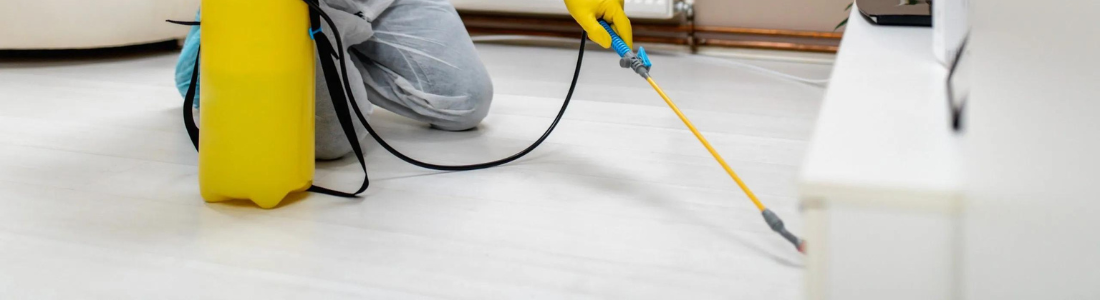 Dicas para fazer uma boa Dedetização 24 HORAS