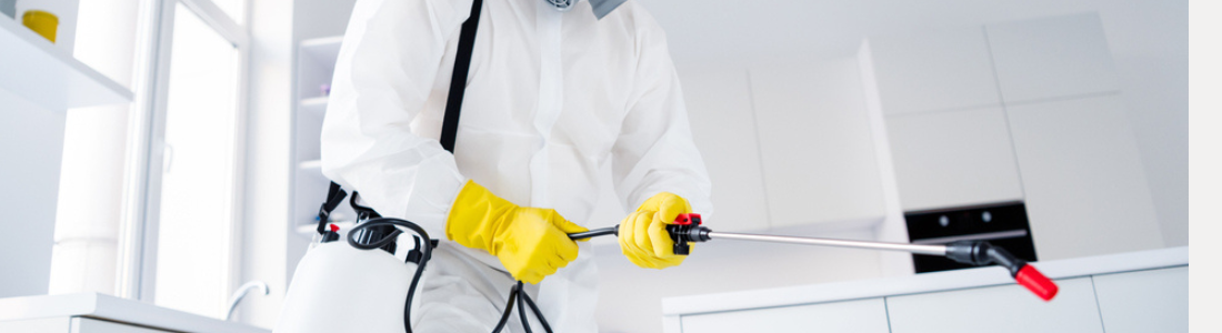 Dedetização em Ambientes  24 HORAS