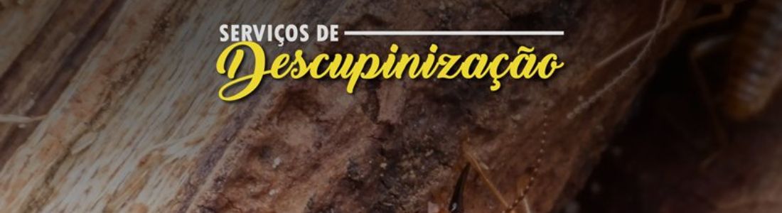 Descupinização em Alerta 24 HORAS