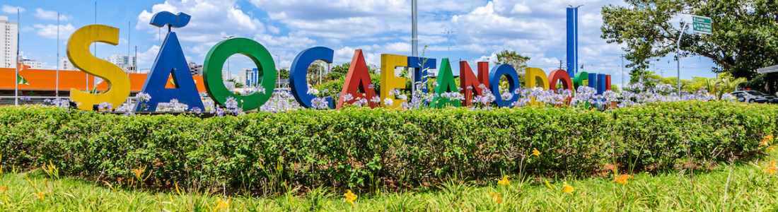 Dedetizadora em São Caetano do Sul 24 HORAS