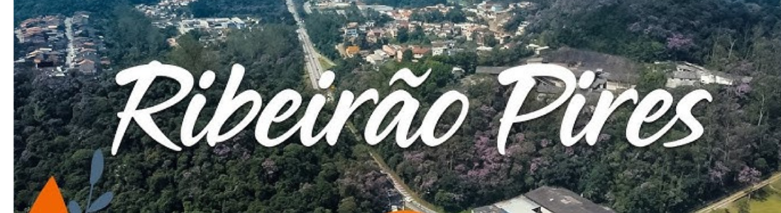 Dedetizadora em Ribeirão Pires 24 HORAS