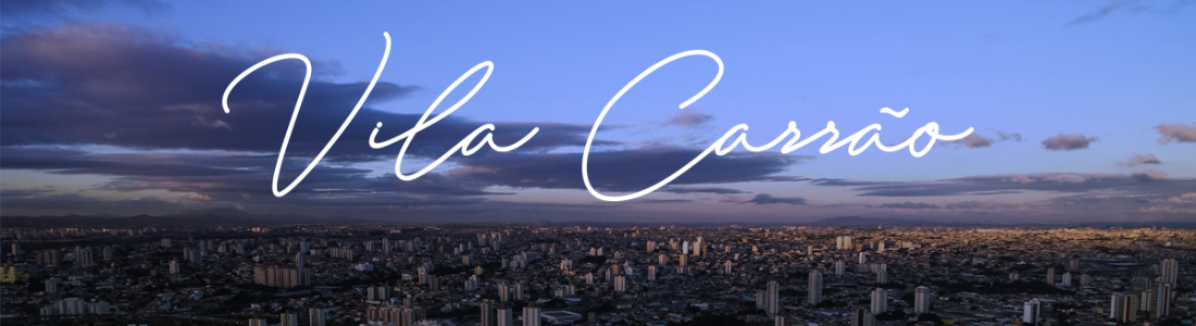 Dedetizadora na Vila Carrão 24 HORAS