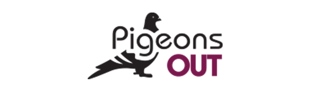 Tratamento de Pombos Pingeut out  24 HORAS