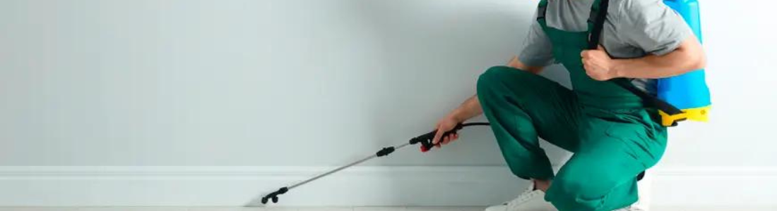 Defenda Seu Lar! Dedetização Sob Medida para Qualquer Infestação 24 HORAS