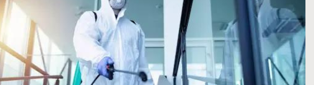 Pragas Fora de Casa: Dedetizadora que Garante Sua Tranquilidade 24 HORAS