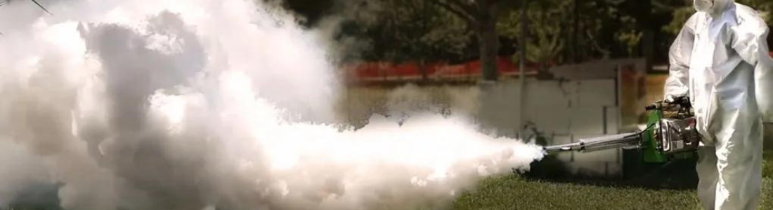 Como tratar infestação de cupins 24 HORAS