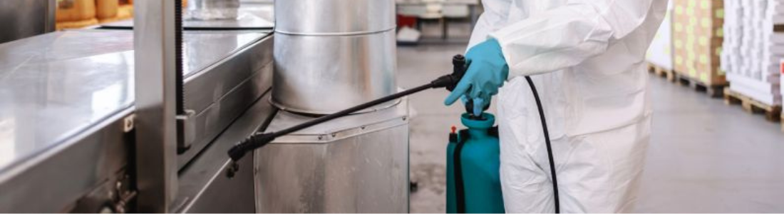 Dedetização Gerais 24 HORAS