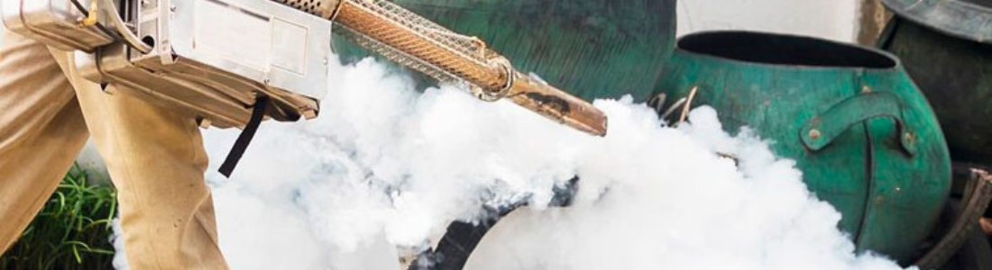 Termonebulização   24 HORAS