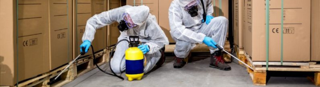 Descupinização de Armazéns: Soluções Eficazes para Evitar Danos Estruturais 24 HORAS