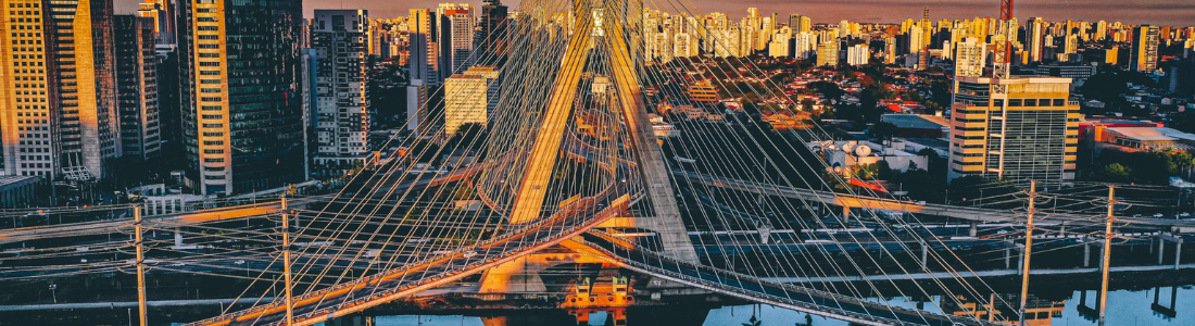 Como contratar uma Dedetizadora em São Paulo  24 HORAS