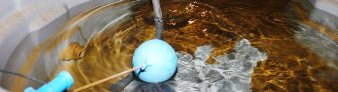 Caixa de água Suja? Riscos para a Saúde! 24 HORAS