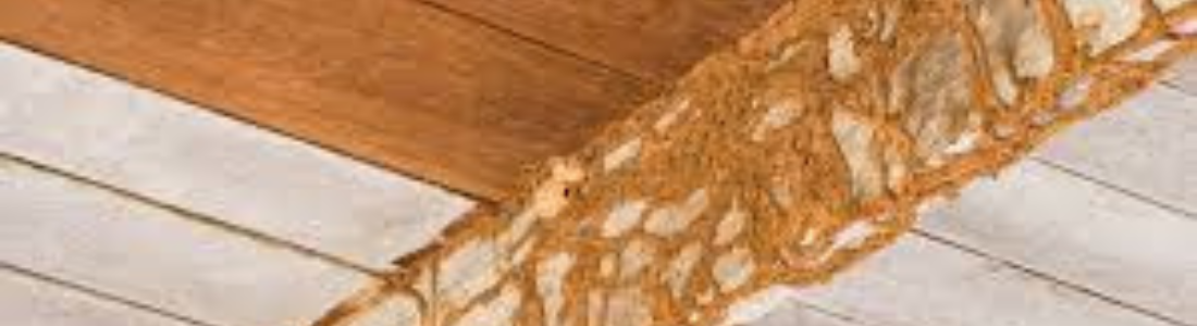 Descupinização em Madeiramento em São Bernardo do Campo 24 HORAS