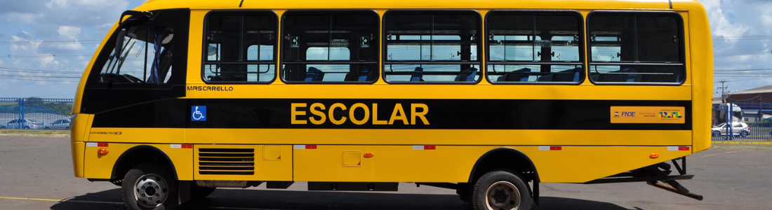 Dedetização em Onibus Escolar  24 HORAS