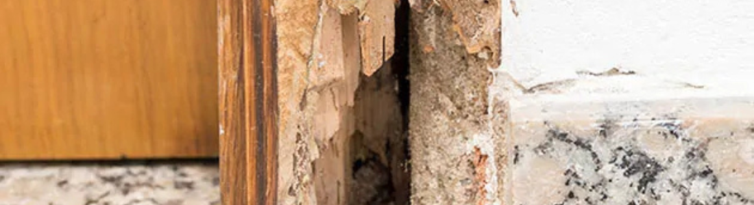 Descupinização do Batente da Porta  24 HORAS