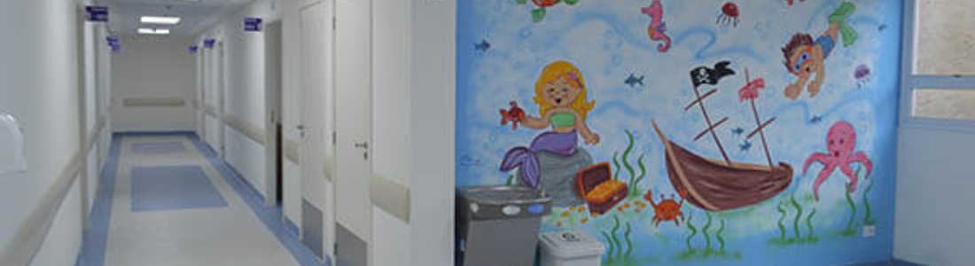 Dedetização Hospitalar em São Bernardo do Campo 24 HORAS