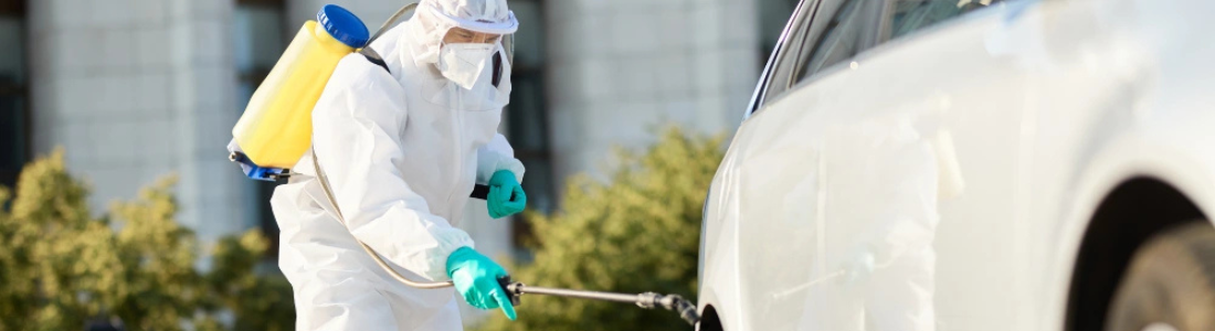 Dedetização Veicular: Proteja contra as baratas  24 HORAS