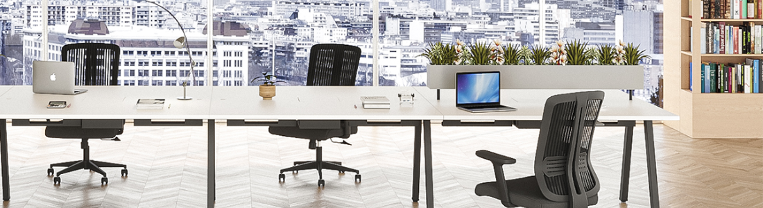 Dedetização para Escritórios: Ambiente Livre de Pragas e Distrações 24 HORAS