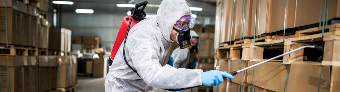 Dedetização de Ácaros em São Bernardo do Campo 24 HORAS