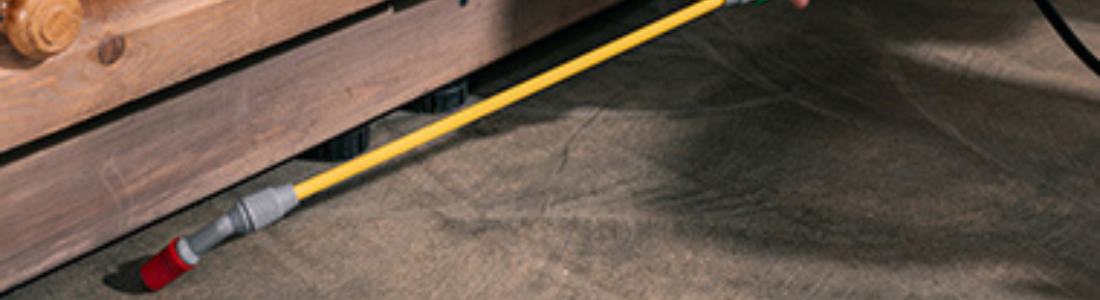 Dedetizadora 24 Horas e Emergencial  24 HORAS