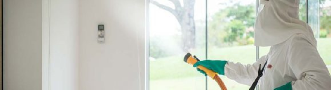 Dedetização para mosquitos voadores 24 HORAS